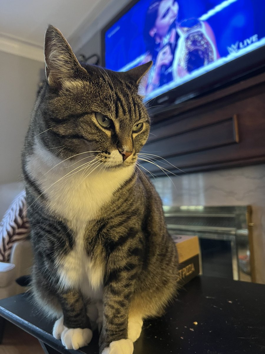 Two dominant Queens basking in a Monday evening #WWERAW