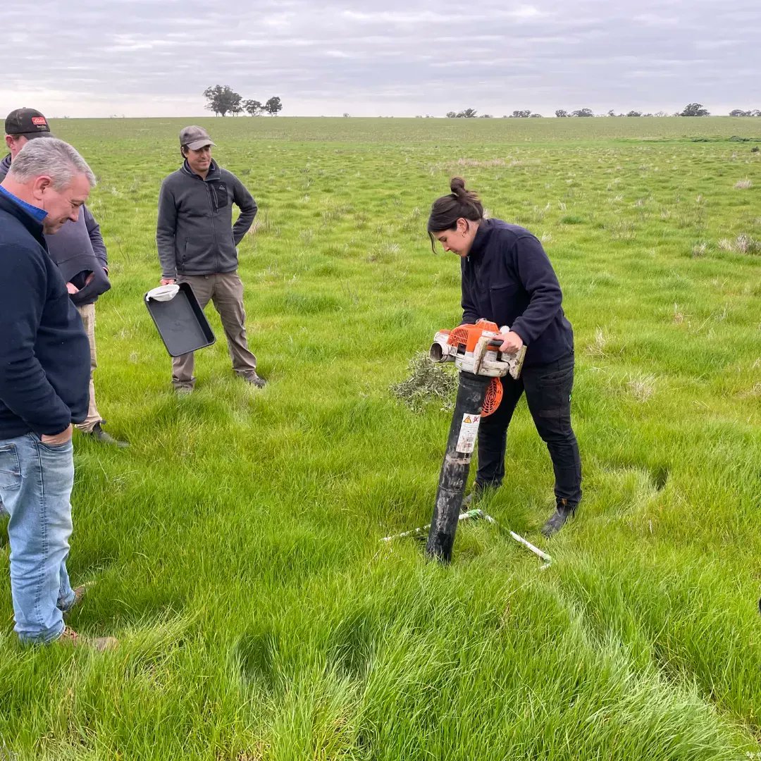 cesaraustralia's tweet photo. #Fieldwork in progress! 🌱 

 The research team and producers out in the field last identifying and counting bugs as part of a @meatlivestock Producer Demonstration Site project led by Agridome Consultancy and Perennial Pasture Systems. @Matt_Agridome

#CesarInAction #RLEM https://t.co/WY73jkaaAr