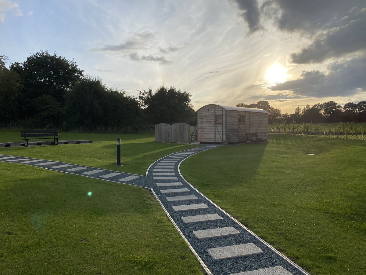 Ed Brown tweet media