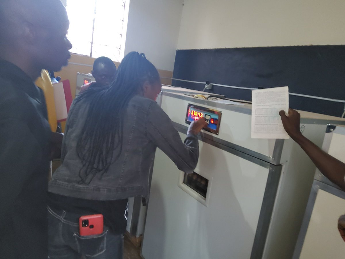 MaisonFermier's tweet photo. Ils sont venus de la RDC (Lubumbashi),de Bujumbura Mairie (Rohero,Nyakabiga,Buyenzi,Ngagara,Cibitoke,Kinama), de Bujumbura rural, de Ngozi, etc pour la formation à Giheta. Commençant par la formation sur la production des poussins, quelle joie de faire une formation-action! https://t.co/GBgPfizivR