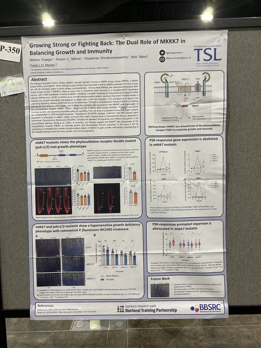 Bringing 2 stories from ⁦<a href="/TheSainsburyLab/">The Sainsbury Laboratory</a>⁩ #Proteomics team to #23ISMPMI. Come and talk to me at P338 or P350 about peptide signaling work by ⁦<a href="/DraegerMarkus/">Markus Draeger</a>⁩ and <a href="/PaulD09890742/">Paul_D</a>