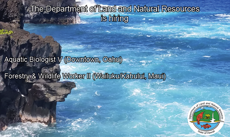 FURTHER YOUR CAREER AT THE DEPARTMENT OF LAND AND NATURAL RESOURCES Aquatic Biologist V (Downtown, Oahu) governmentjobs.com/careers/hawaii… Forestry & Wildlife Worker II (Wailuku/Kahului, Maui) governmentjobs.com/careers/hawaii…