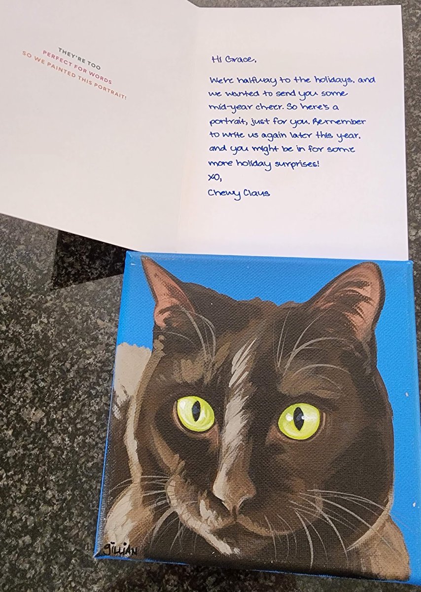 beckbjj's tweet photo. Thank you so much @Chewy Claus! What could be better than Christmas in July?!! Grace and I LOVE it, Gillian really captured her! #ChewyClaus #ChewyBox #ChewyBoxLove #ChewyDelivery #cats #CatsOfTwitter https://t.co/JFfkqp2Ug2