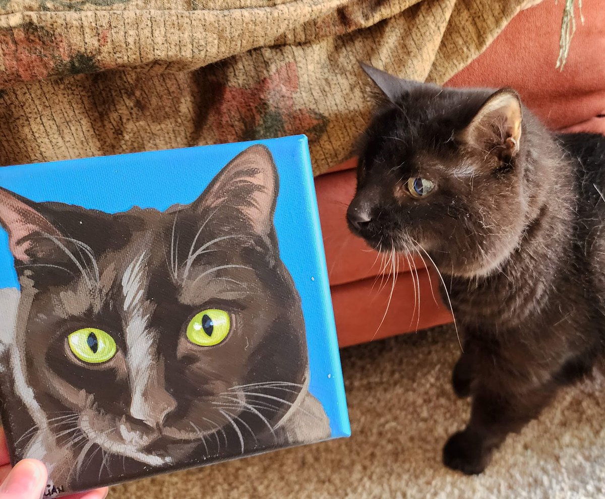 beckbjj's tweet photo. Thank you so much @Chewy Claus! What could be better than Christmas in July?!! Grace and I LOVE it, Gillian really captured her! #ChewyClaus #ChewyBox #ChewyBoxLove #ChewyDelivery #cats #CatsOfTwitter https://t.co/JFfkqp2Ug2
