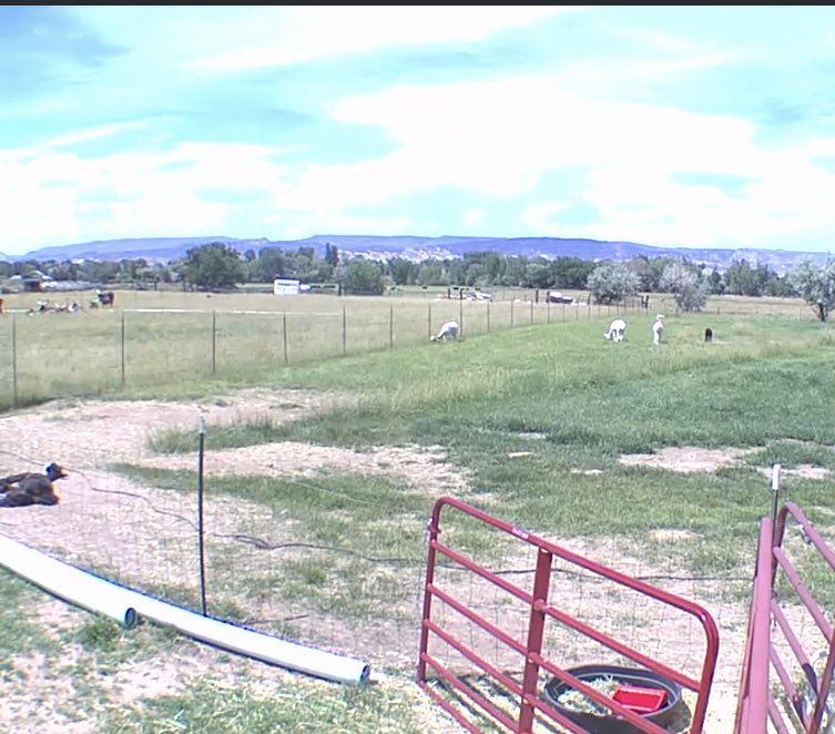 What a good mom. Send the sass with the sisters while she catches some sun. Good for her.