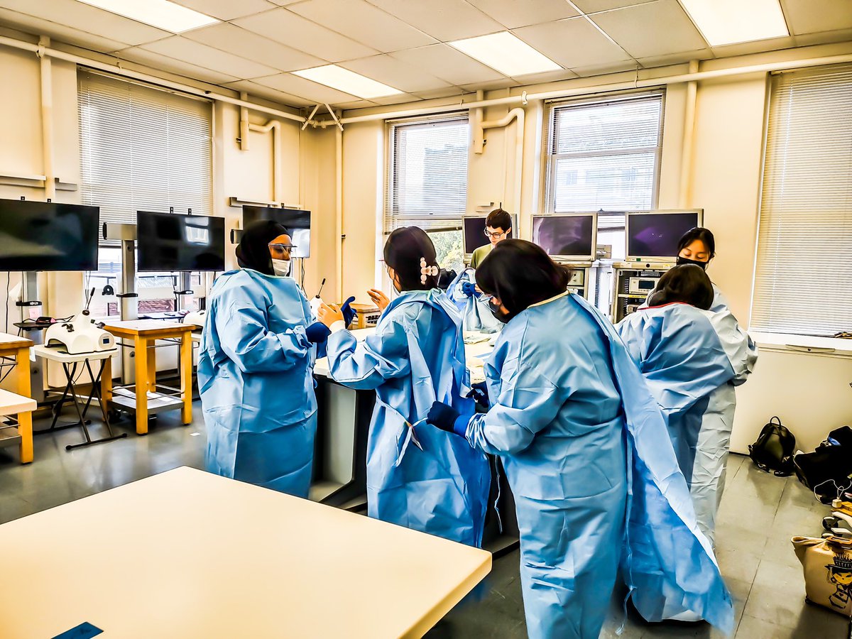 UCSF Surgical Skills Center (@ucsfskillslab) on Twitter photo ‼️ Another group of high school girls (17 of them) from the <a href="/OasisForGirls/">Oasis For Girls</a> Envision Internship Program visited the Surgical Skills Lab. It was an eventful session with help from who Dr. <a href="/MakdaZewde/">Makda Zewde, MD MS</a> demonstrated knot tying, Dr. Riley Brian, who presented gowning, gloving, + ‼️ Another group of high school girls (17 of them) from the <a href="/OasisForGirls/">Oasis For Girls</a> Envision Internship Program visited the Surgical Skills Lab. It was an eventful session with help from who Dr. <a href="/MakdaZewde/">Makda Zewde, MD MS</a> demonstrated knot tying, Dr. Riley Brian, who presented gowning, gloving, +