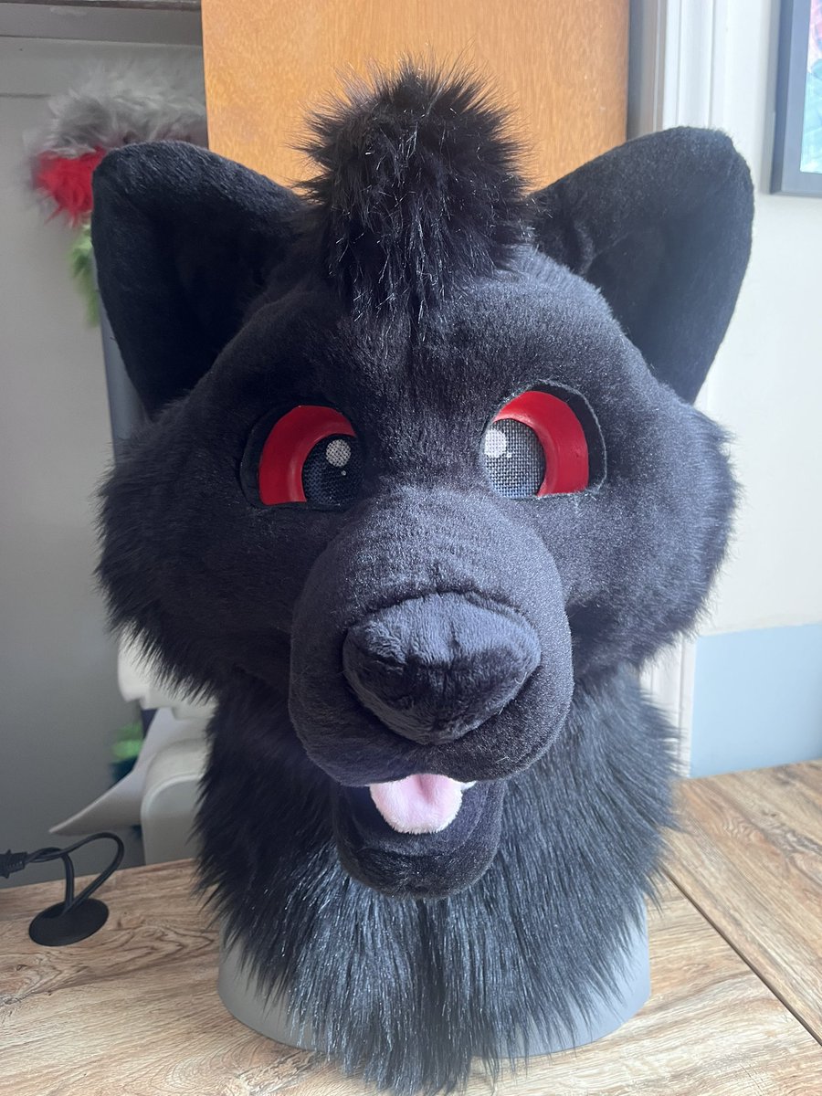 Carthan’s head is all finished! Gonna get the photos edited and collaged and ship it off tomorrow! 

#fursuit #fursuitmaker #furry #furryfandom