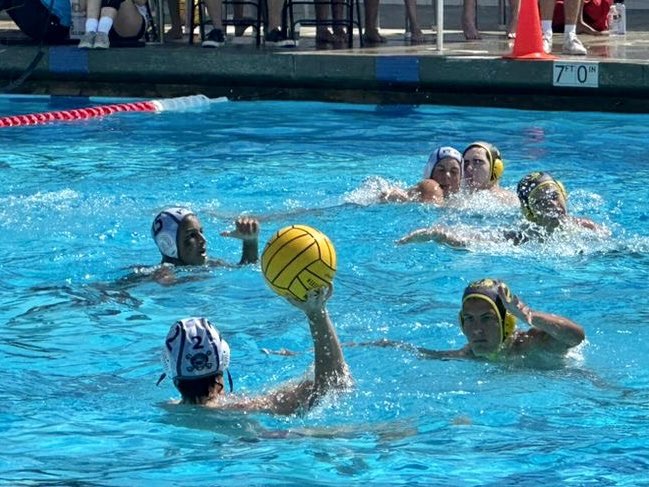 Mavericks Water Polo Club tweet media