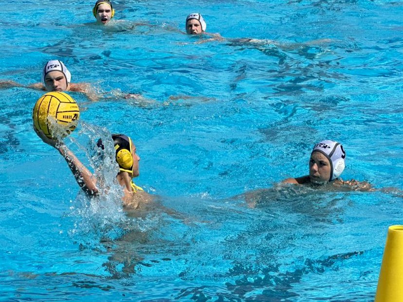 Mavericks Water Polo Club tweet media
