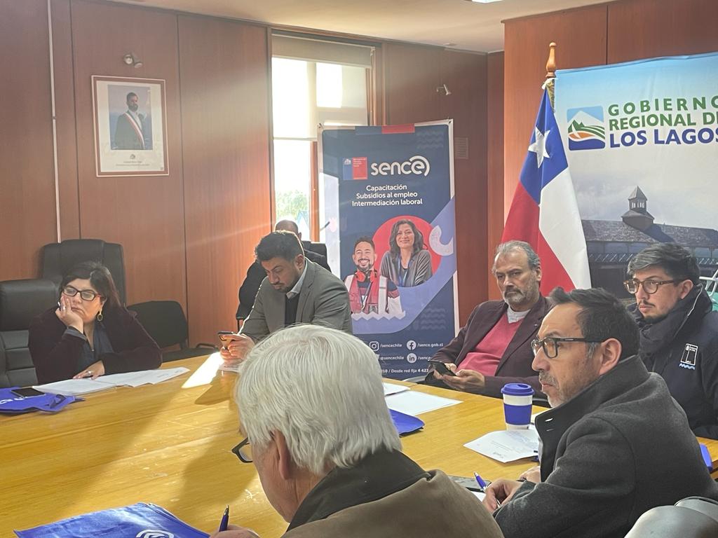 SeremieconomiaX's tweet photo. Seremi de Economía @lcardenasmayorg integró la primera sesión del Consejo Regional de Capacitación que preside el @GoreLosLagos @pvallespin
y que establecerá un Plan Regional de Capacitación con pertinencia regional que se ejecutará vía Becas Laborales de Sence. https://t.co/WUeMZ6sIzB
