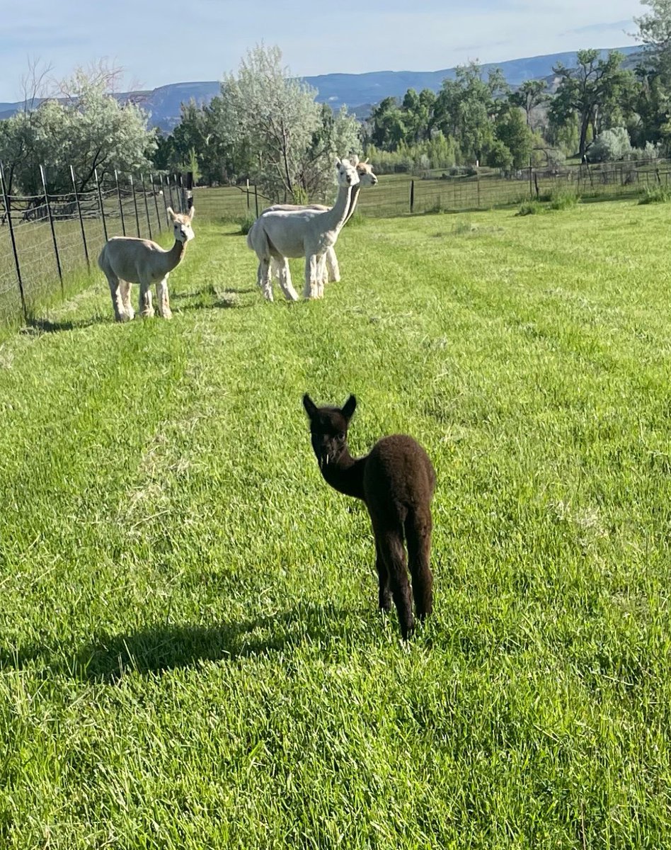 Looking back wishing it was still the weekend 😭😭😭