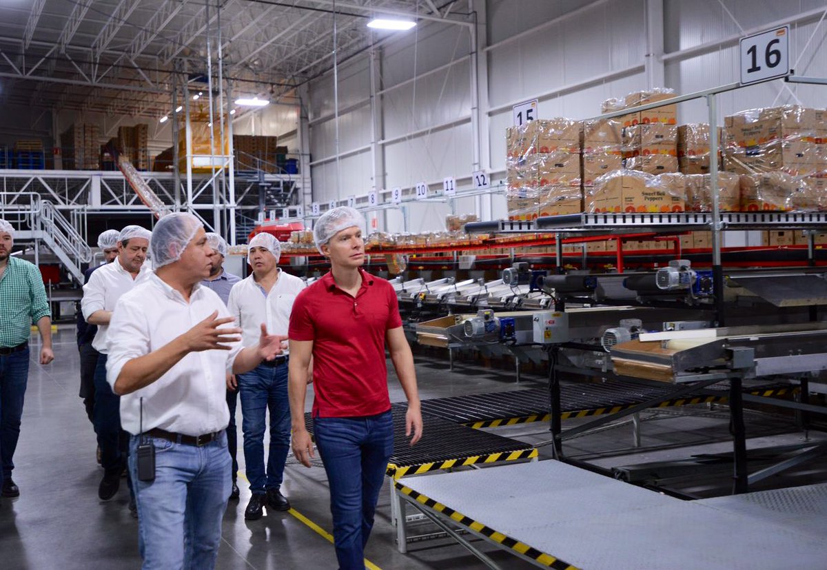 VelascoM_'s tweet photo. El pimiento es el 3º producto agrícola con más exportaciones y Villa Serre los cultiva en Silao en invernaderos con alta tecnología, agregando valor y calidad mundial a los productos mexicanos y a la mano de obra nacional.

¡Repliquemos este exitoso modelo en todo el país! https://t.co/zaLm4Klum7