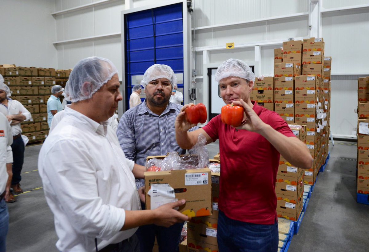 VelascoM_'s tweet photo. El pimiento es el 3º producto agrícola con más exportaciones y Villa Serre los cultiva en Silao en invernaderos con alta tecnología, agregando valor y calidad mundial a los productos mexicanos y a la mano de obra nacional.

¡Repliquemos este exitoso modelo en todo el país! https://t.co/zaLm4Klum7