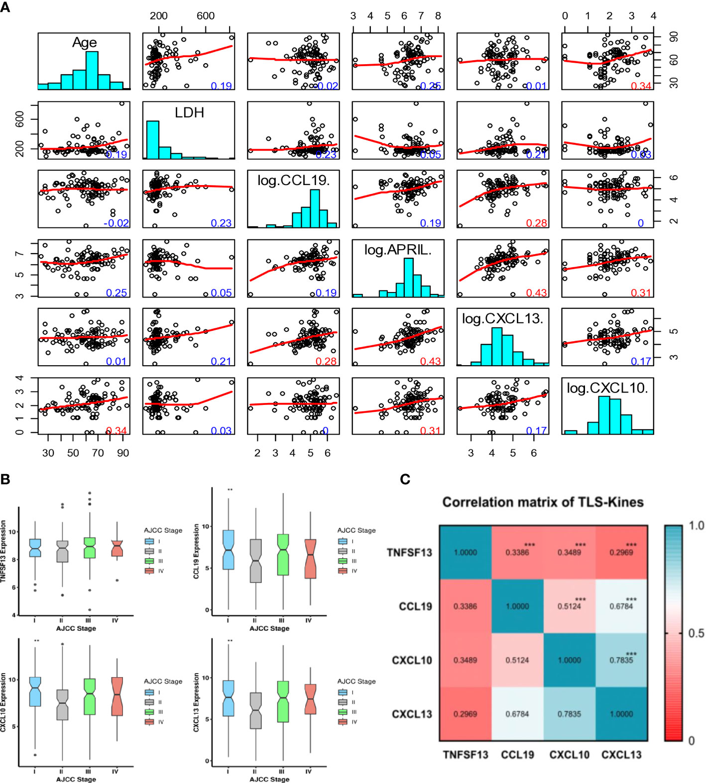 Could Your Lymphoid Aggregates Be Cancerous?  Find Out Now - lwu72or