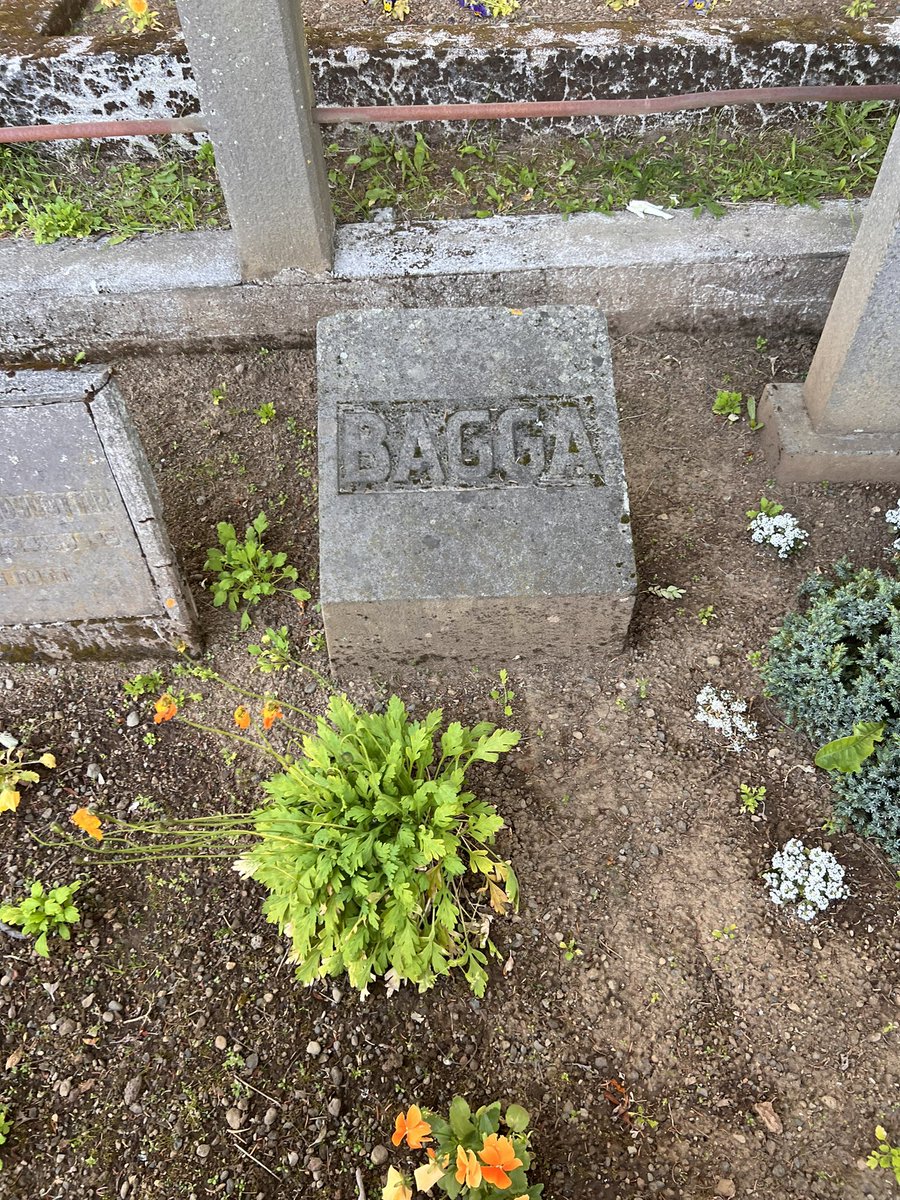 Jon Gnarr tweet media