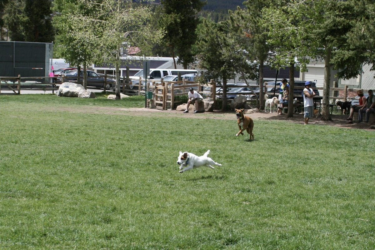 jbkatz's tweet photo. @Phil_Sledge Scrabble - OTRB 05/27/23. 15 years old https://t.co/MwpahghDyQ