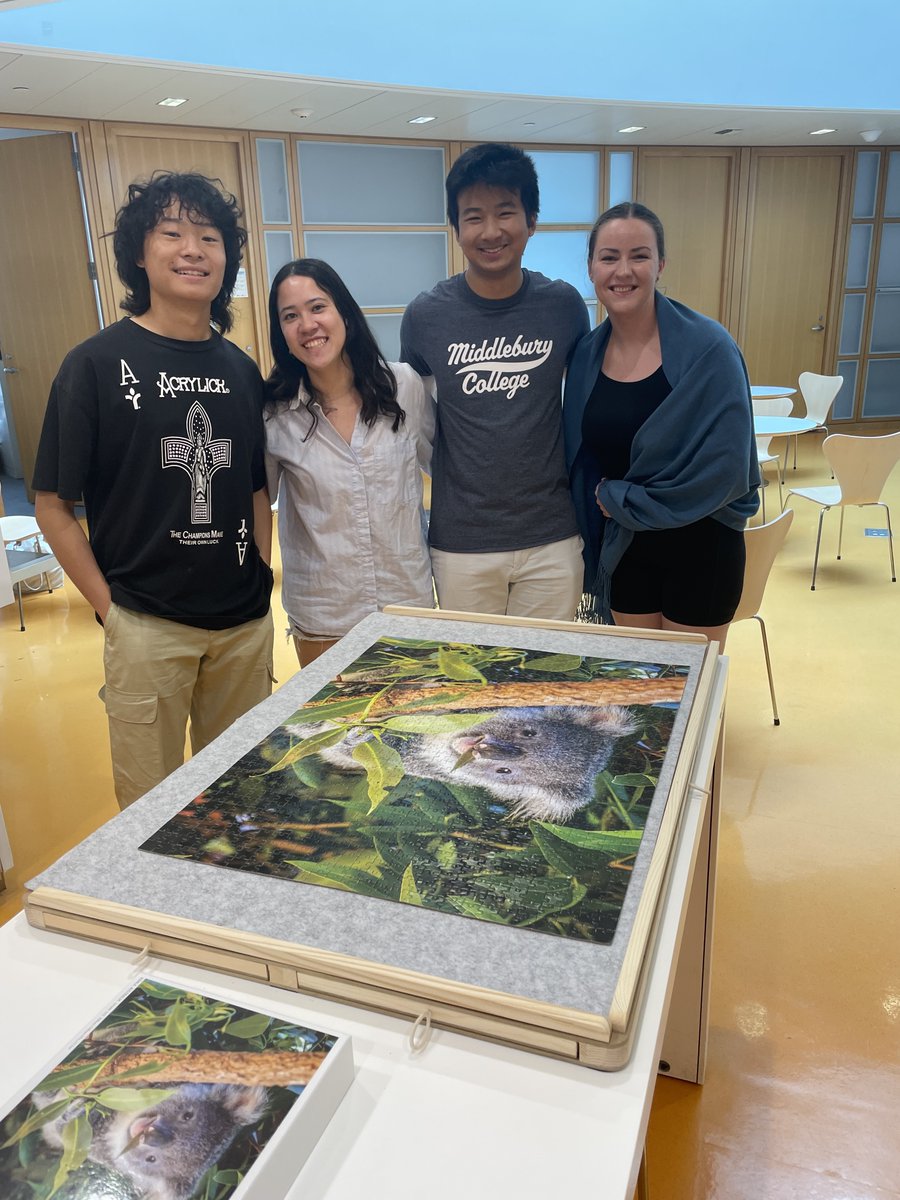 IQSS's tweet photo. What goes on at IQSS during the summer? Well, actually a whole lot--but since it's gotten quiet around Knafel we've been taking solving the world's  most challenging problems... AND puzzles. Some of our interns got to place the final pieces on our most recent jigsaw puzzle! https://t.co/T9b3hp8dwp