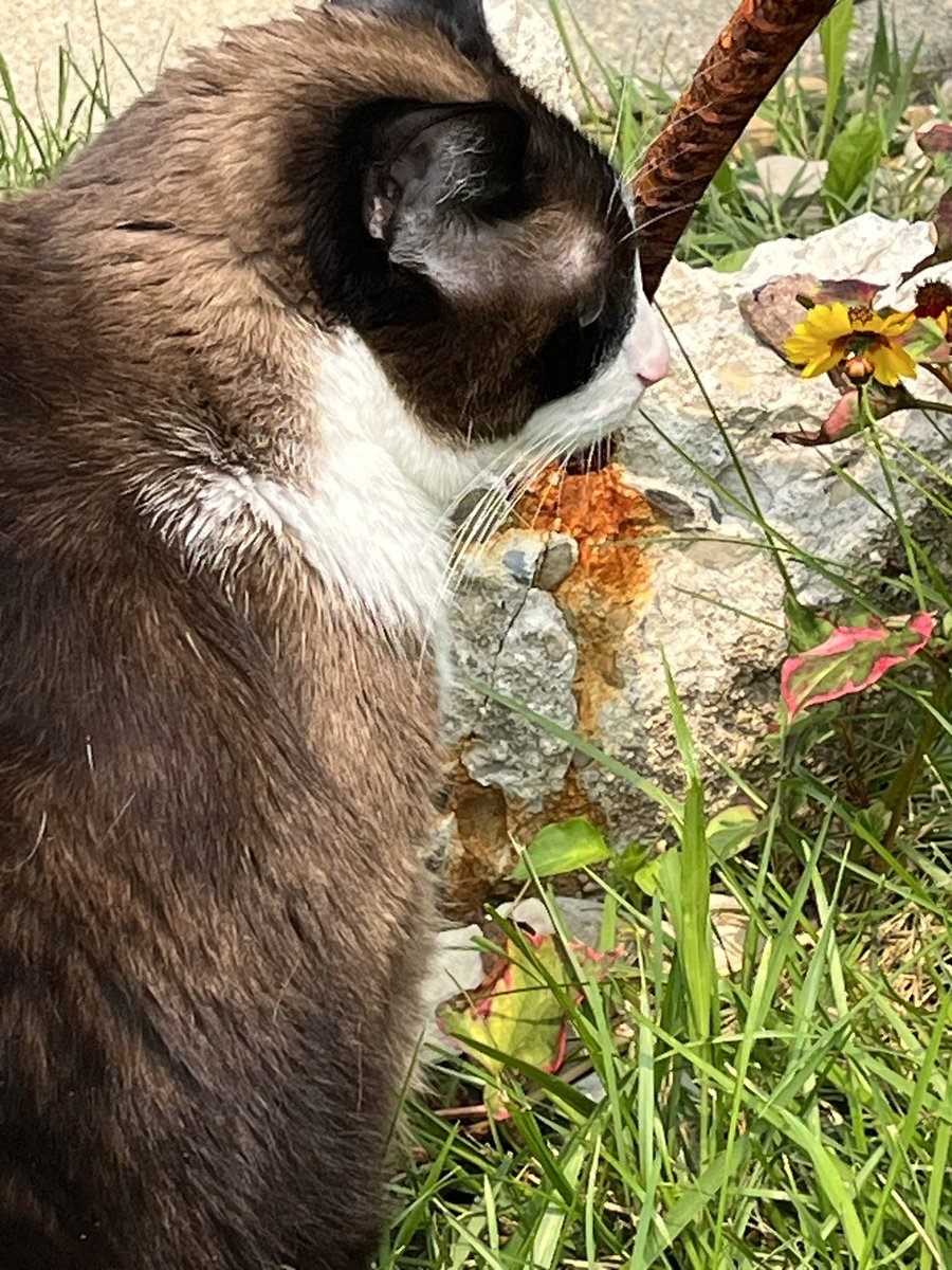 jfen83's tweet photo. https://t.co/fyUHS0Tk48