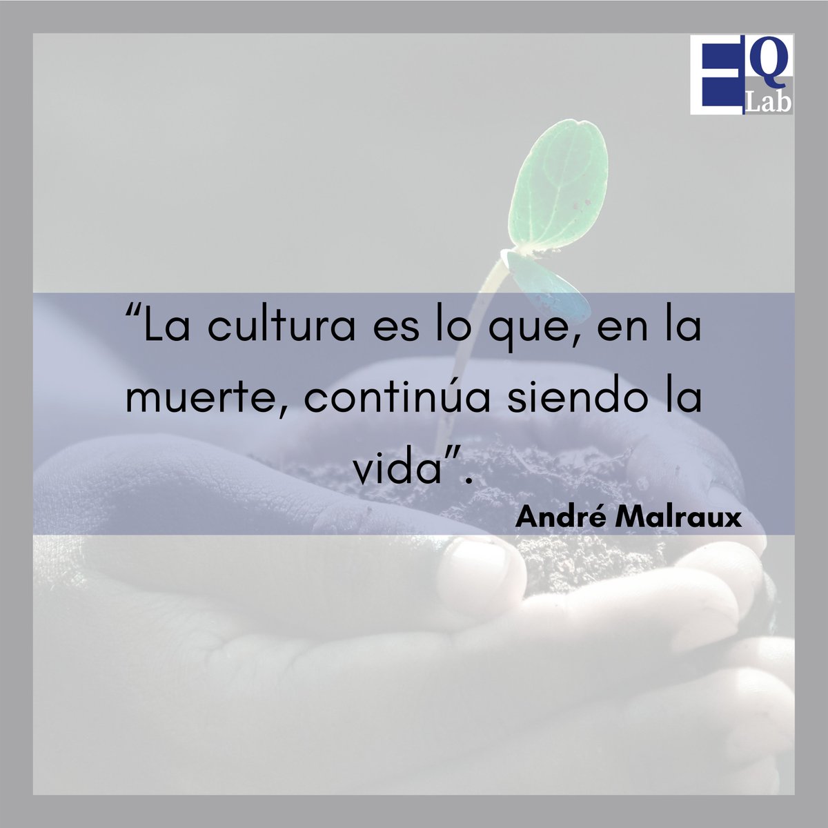 eqlab_org's tweet photo. ¡Feliz inicio de semana!🤲🌱
#FelizLunes #Frases #Cultura https://t.co/Lbhm93PfEb