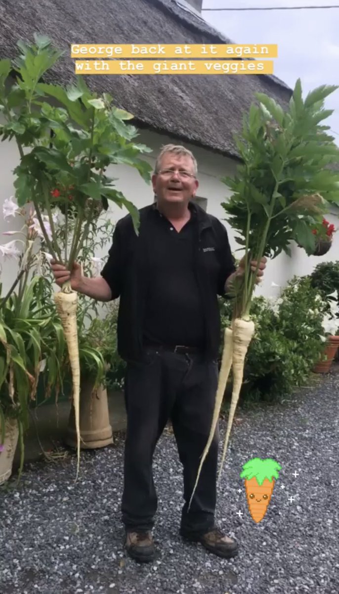 nellecreates's tweet photo. I can finally post my grad film online!

Roots was born out of a silly photo of my dad holding up parsnips he grew that were taller than him! 

You can watch the whole thing at the link below 🥕🥕

https://t.co/WF9LbIoTjw https://t.co/3B93RGIZLh
