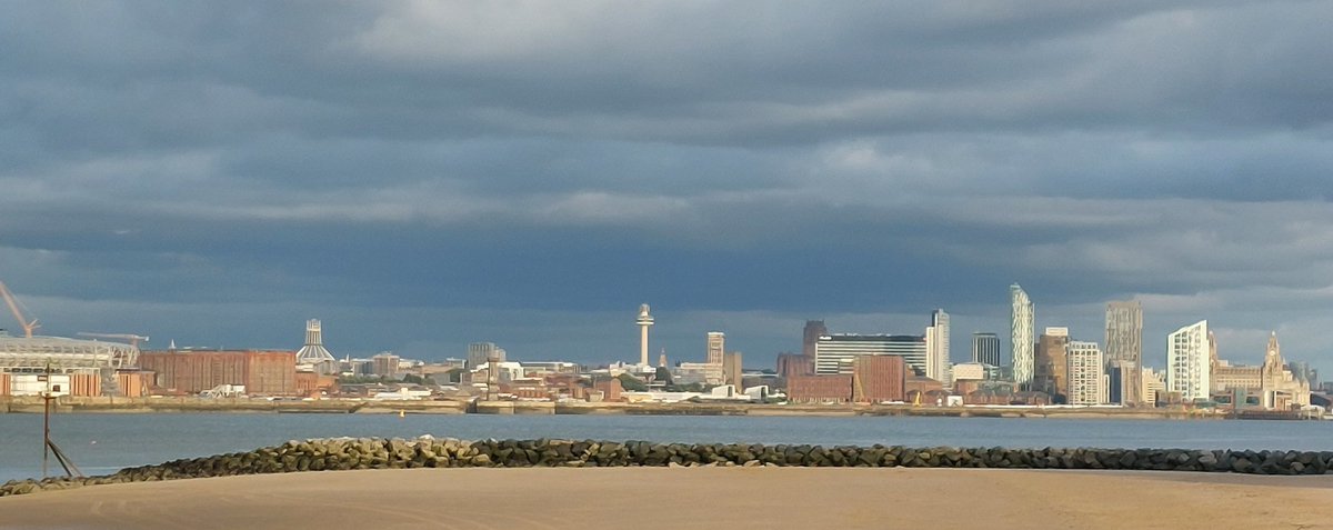 Martin Dempster tweet media