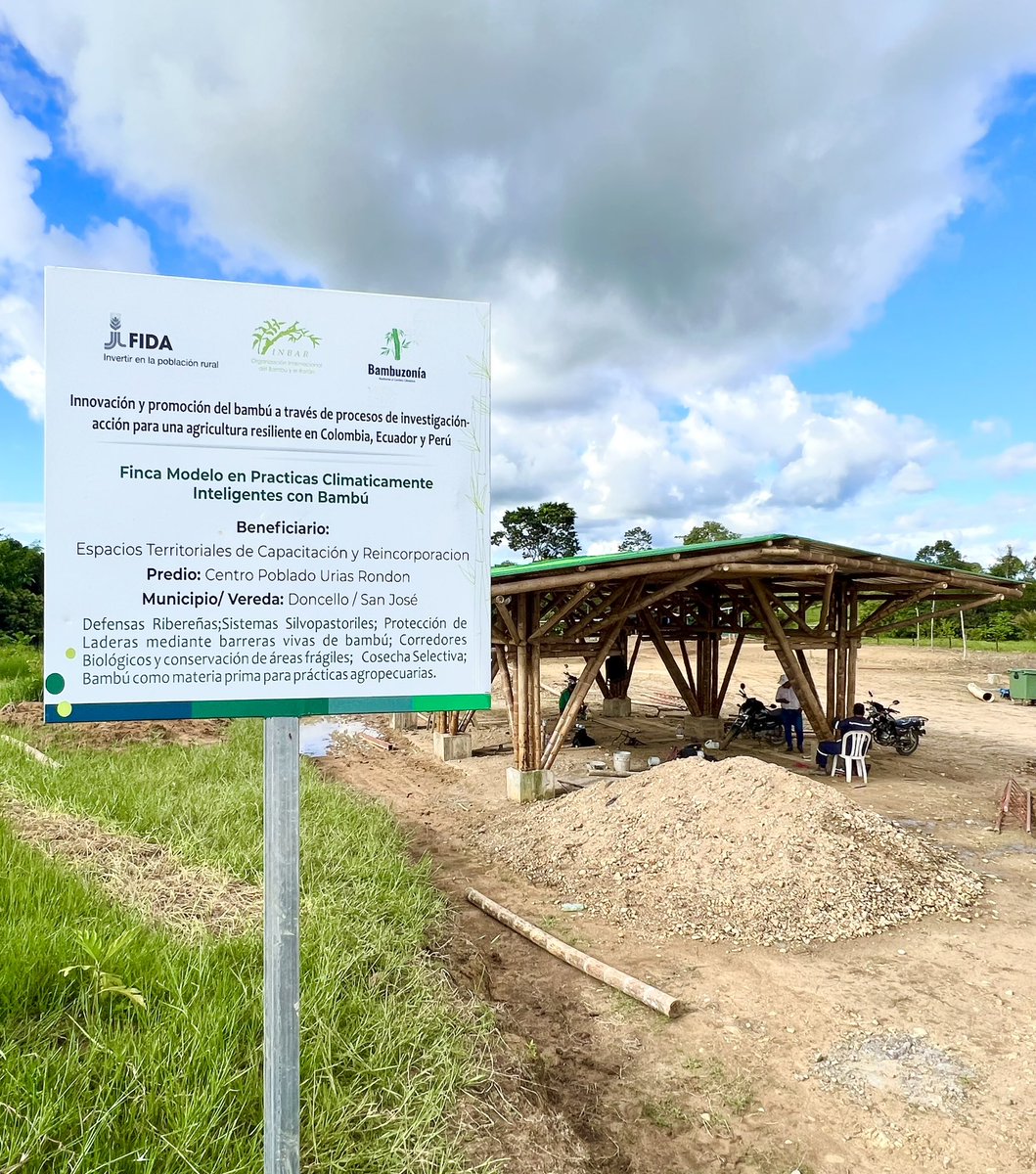 SanJose_CP's tweet photo. En @UriasRondon modelo en prácticas climáticamente inteligentes con Bambú; #Gracias @inbarlac y @IFADespanol que a través del proyecto #Bambumazonia🎋 ya casi punto es terminada la caseta comunal #BamúPaz🏡 

@ARNColombia @CNRCOMUNES @Minvivienda @CsiviComunes @AlejamillerR 🕊️ https://t.co/DOcWe3sfWc