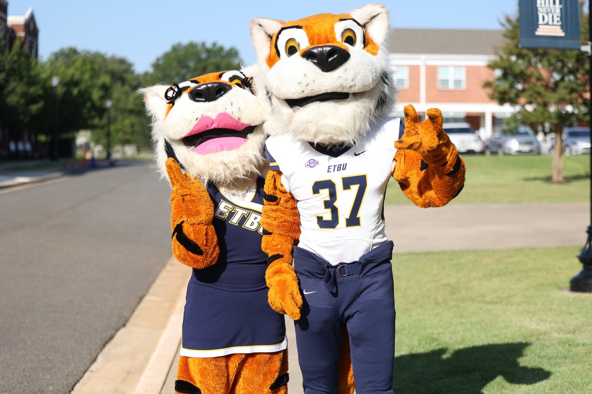 .#SummertimeStripes | Missing our furry friends!

#TexasTigers