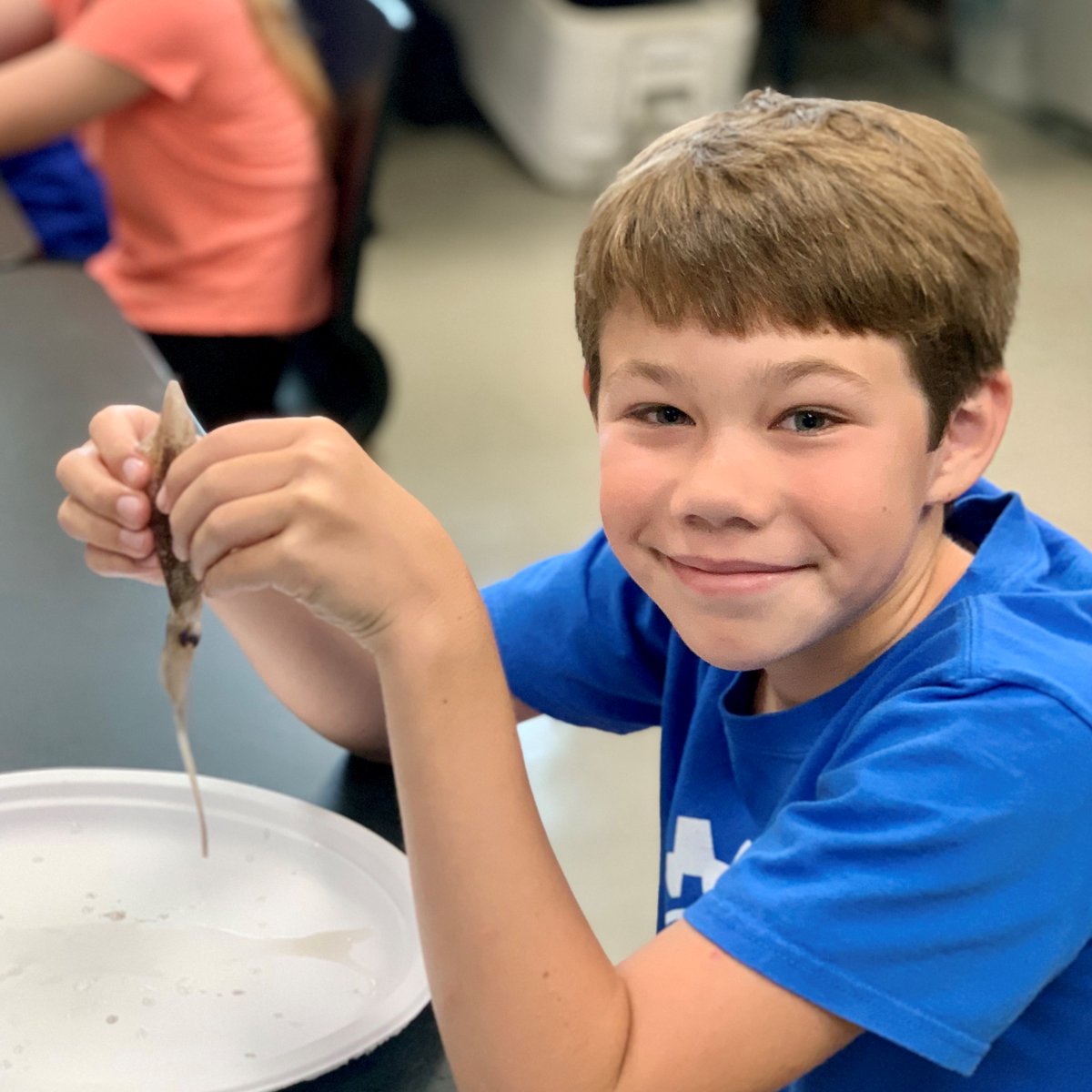 NCReserve's tweet photo. Check out the incredible hands-on experience our campers had last week! 🐙 They delved into the fascinating world of squid anatomy and got a truly unforgettable lesson! North Carolina Maritime Museum in Beaufort #CampLife #SquidDissection https://t.co/xGP1rjs0Ml