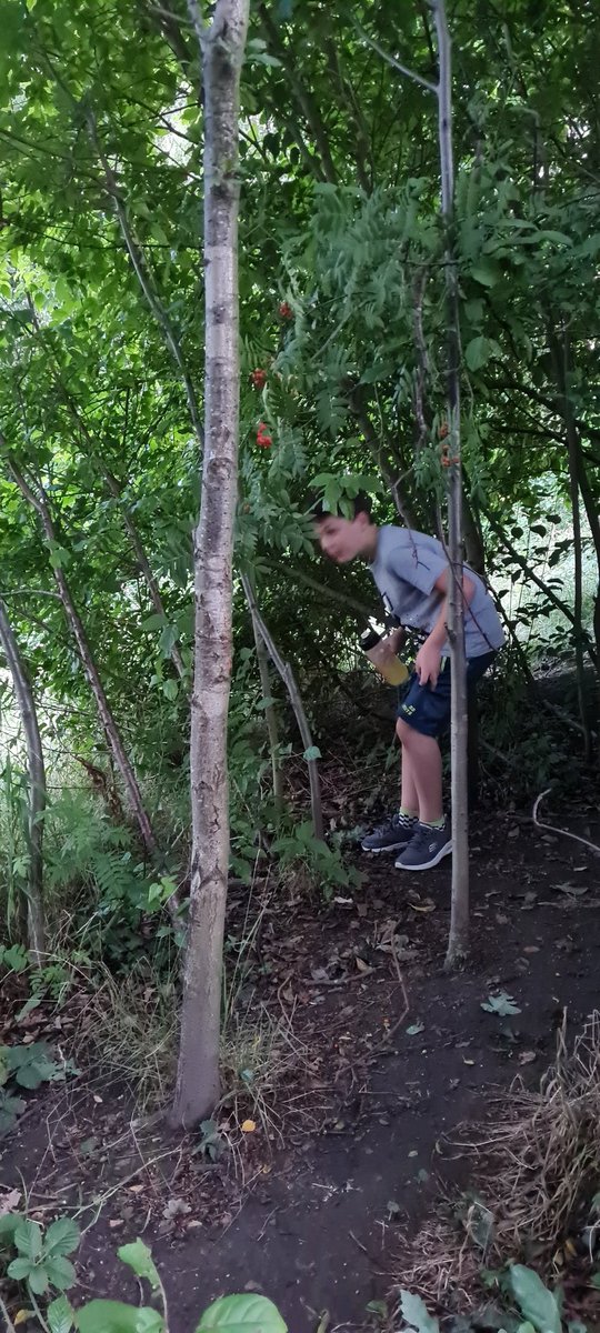 LouCon10's tweet photo. A bit of time in forest school before it gets dark. We played hide and seek and shared our memories from our time at the Ellis. https://t.co/DgEW4YH10S