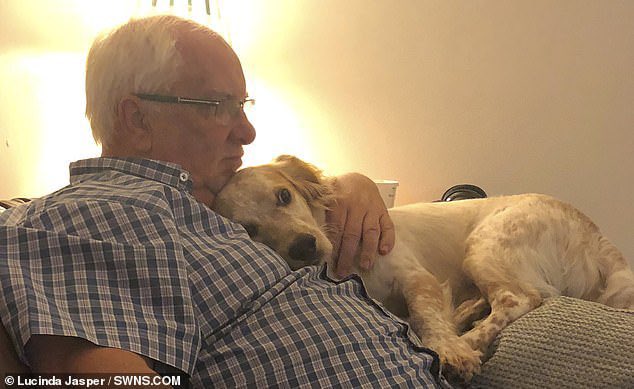 This is Mike and Ted. On a walk in December 2020 two men punched Mike to the ground and abducted Ted in Cannon Hill Common nr Morden #London #SW20. The family are still living this nightmare 💔 Please RT to help #BringTedHome &amp; SIGN for #PetTheftReform petition.parliament.uk/petitions/6401… ✍️