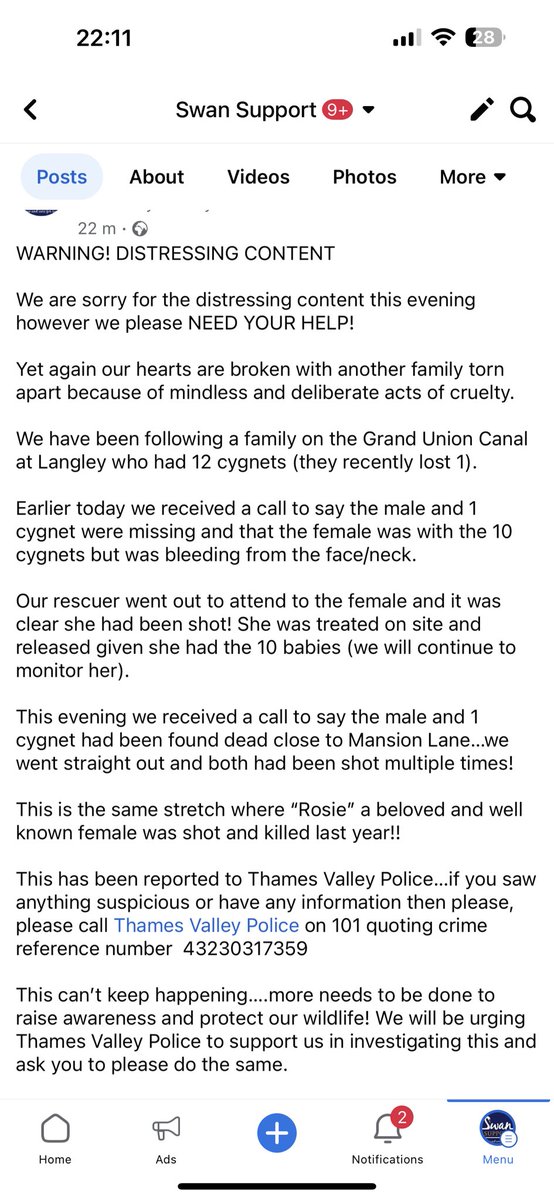 SwanSupport tweet media