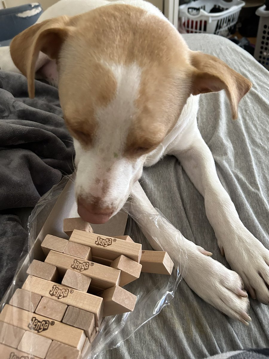 All ready for <a href="/IL_Resource_Ctr/">Illinois Resource Center (IRC)</a> EmpowerCon tomorrow! Just ignore Ron Swanson trying to play Jenga ❤️