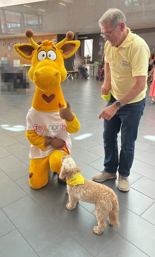 Daisy Dog tweet media