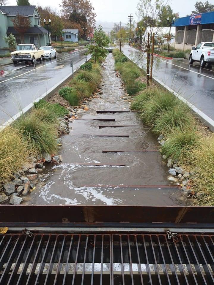 _lepmx's tweet photo. El agua pluvial en las ciudades no existe para que se conduzca únicamente a las alcantarillas, cuando hay voluntad y consciencia se integra al paisaje urbano. No solo nos brinda mejores sensaciones térmicas, nos enseña a valorar la vida del ecosistema que nace a partir de ella. https://t.co/AfVm6Qz4Uc