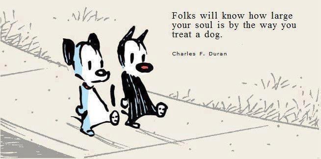 #dogslife #woof #petsarefamily #kindness #compassion #ilovemydog 🐾❤️🐾