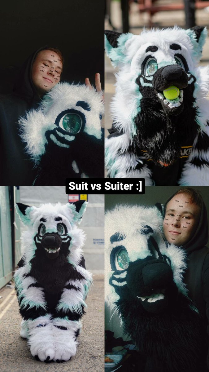NullJester's tweet image. How to find me at the summer party if ya wanna come see me!!!

Here's a suit vs suiter!

Sorta booping 2 wolves with 1 paw here (If you understand this...thank you)

Hope to see you all soon!!! 🩵
#LondonFurs #lfm #LondonFur