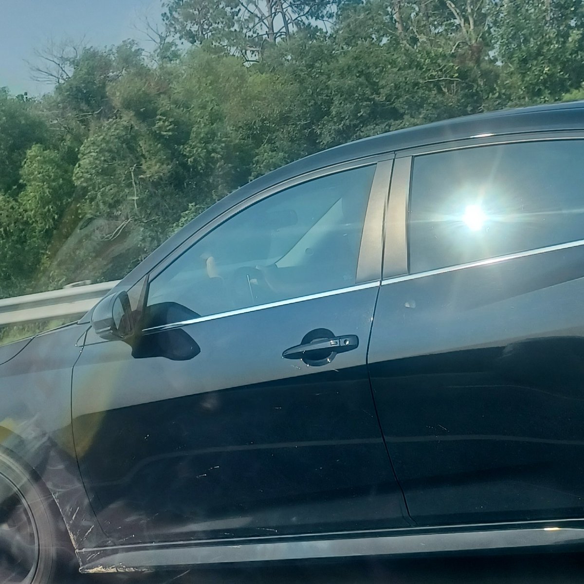 Xylo called it a 'highway hotdog'...  peak i75 experience today 🤣