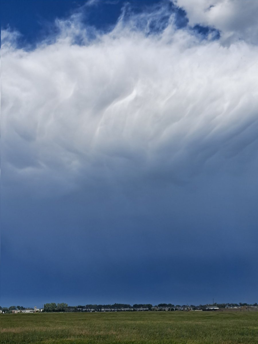 RT @greg_scott84: Summer skies and a tornado warning near High River, AB. Producing golf ball-sized hail. https://t.co/KKsrHTSlsL