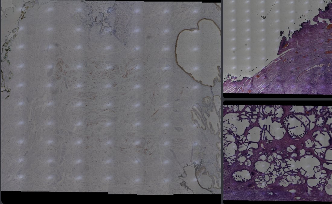 beniroquai's tweet image. Highly recommendable blog post by the Andrew Erickson from Helsinki about the @OpenUc2 hackathon last Friday/Saturday: erickson-lab.com/post/erickson-… This was fun! And I&apos;m still so tired! :D

Result: UC2 scanner + #imswitch + #ASHLAR + @frauzufall  (yeah..flatfielding comes later ^^)