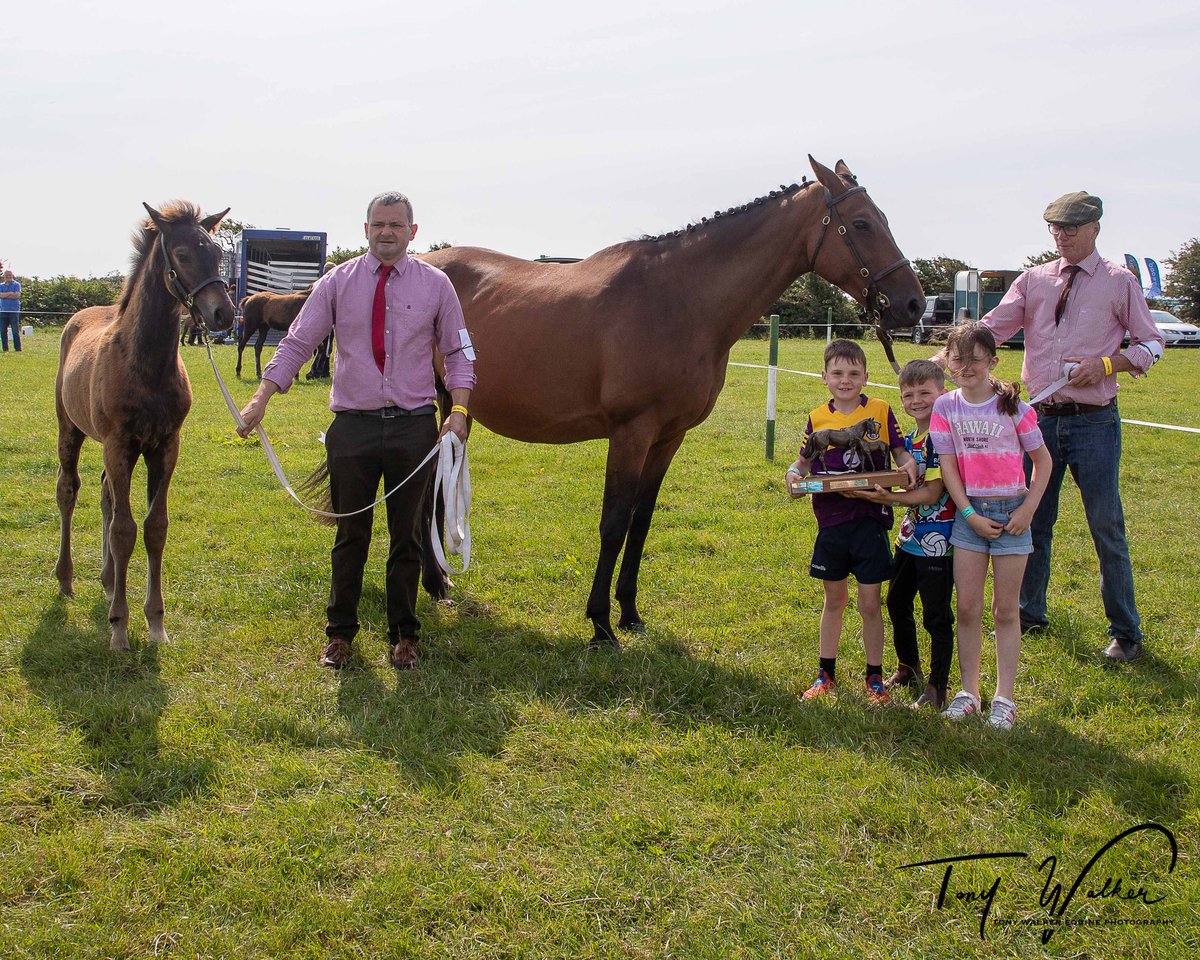 Winner of the Mare & foal (60/40)1. Joe Walsh's “Rossa Bibi”. with his family Bobby, John , Ruby and handler Joe Kent at the show last Thursday. https://t.co/KHYFLxpDrm