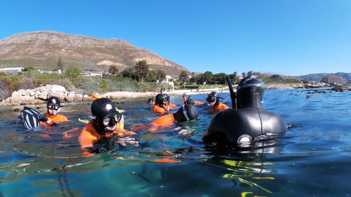 Sandbach School are having a Whale of a time in South Africa for #enrichmentweek2023