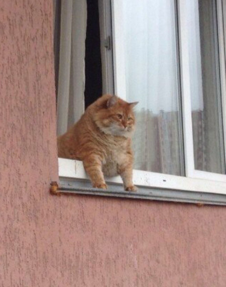overseeing the kingdom