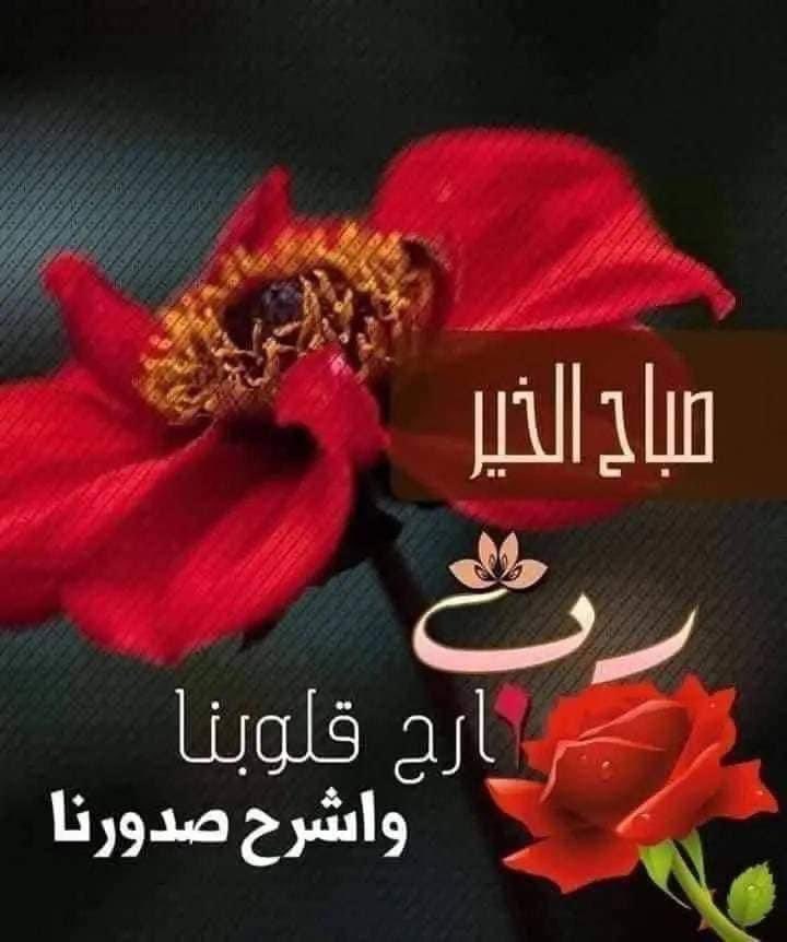 سأرسل من أريج
المسك والياسمين
عطرا" يفوح إلى الأحباب
من كل وادي
وأنثر بين قافيتي ورودا"
لأكرم من أحبهم فؤادي
بريد الشوق يخبركم
بأنني أقدركم
على رغم البعاد
صباحكم ورد
وفل وياسمين
 🍁🍁(كبرياء رجل **)🍁🍁
💖💖💖💖💖💖💖💖
☕☕☕☕☕☕☕☕
❣️❣️❣️❣️الجميع ❣️❣️❣️❣️