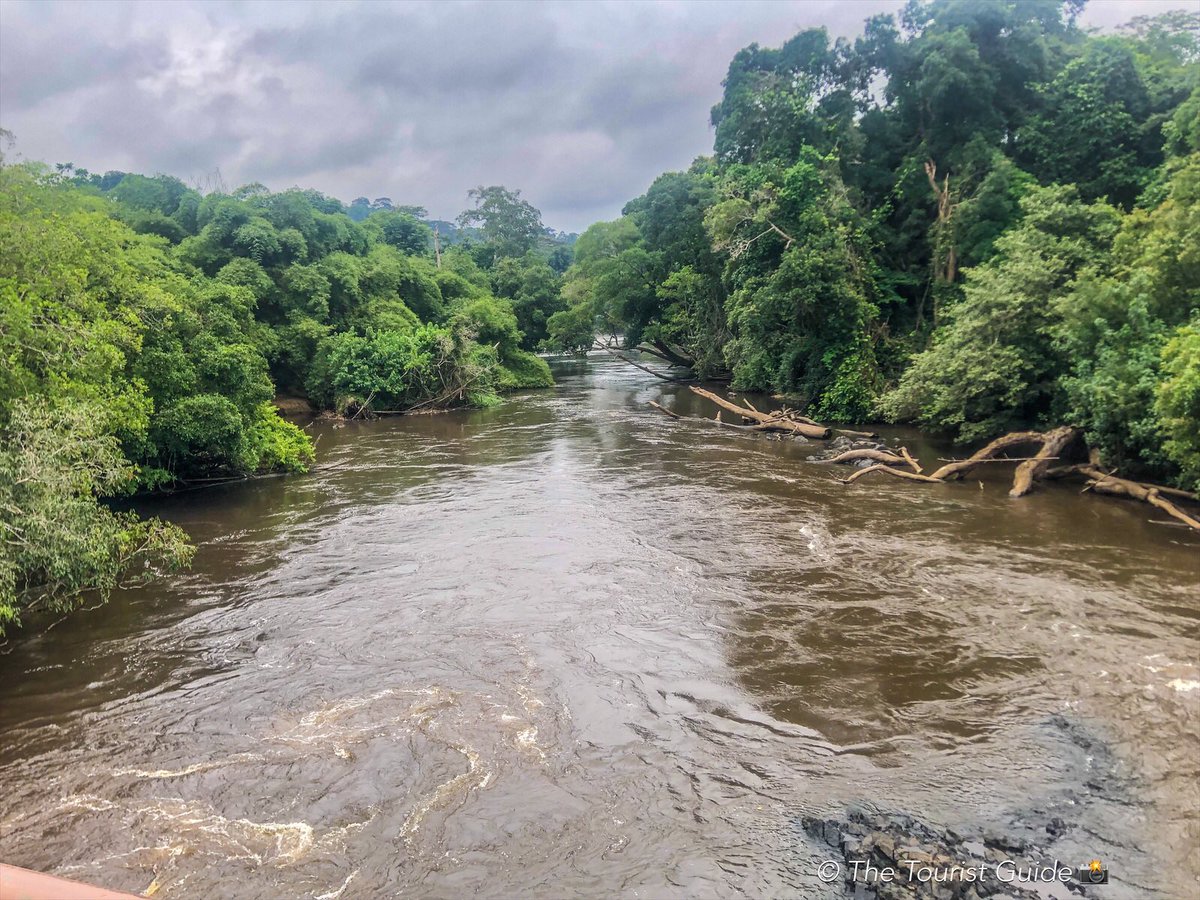 rodriguexplore's tweet photo. Le Nyong  depuis Bipindi💦🍀🌉

#Cameroun 
#VisiterLeCameroun 
#VisitCameroun
#Bipindi #Sud https://t.co/RR2Ap5Wopb