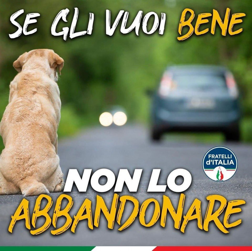 Se vediamo un animale abbandonato o assistiamo ad un abbandono, avvertiamo le forze dell'ordine (Polizia stradale/Carabinieri/Polizie locali/Vigili del Fuoco) chiamando i relativi numeri di emergenza oppure contattiamo il numero verde Pronto Anas 800841148

#IoNonTiAbbandono