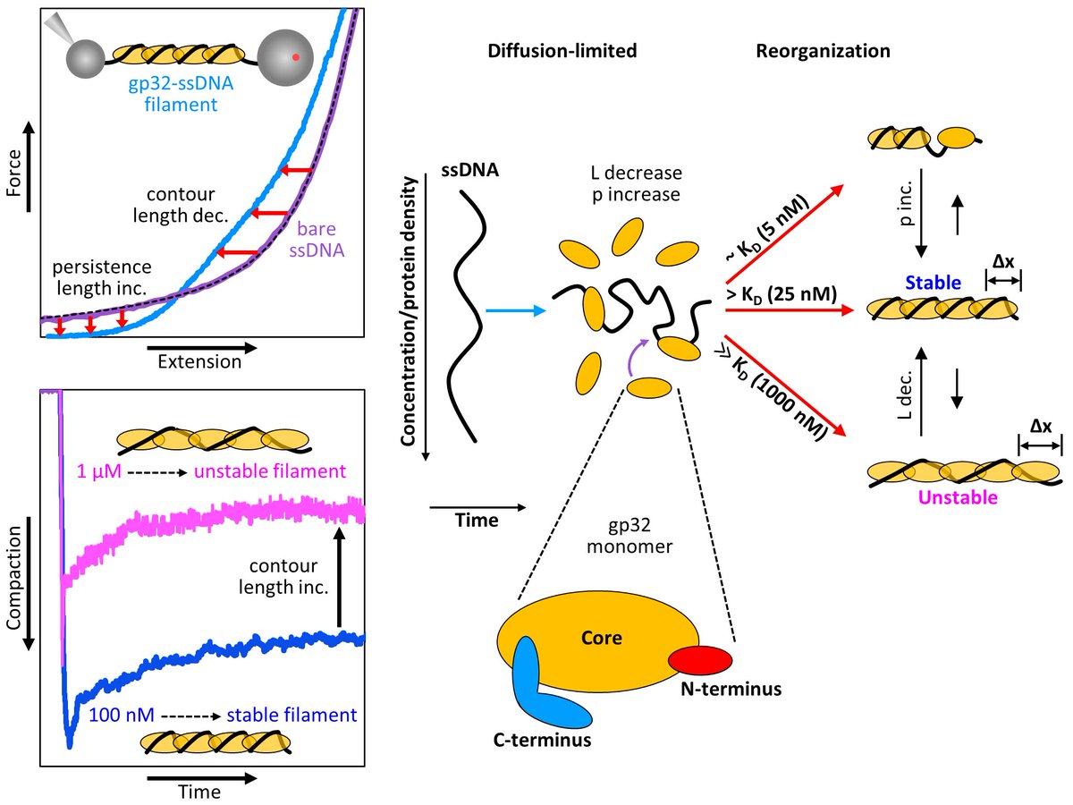Williams Lab tweet media