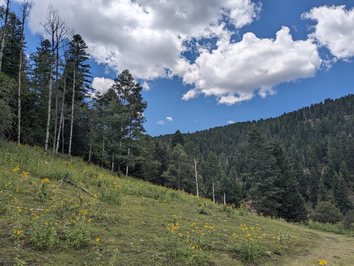 Great week at Scout Camp in the Lincoln National Forest located in Southern New Mexico.  Elevations between 8,500 and 9,500 Ft and beautiful weather.  Nothing like waking up to 50°F middle of July