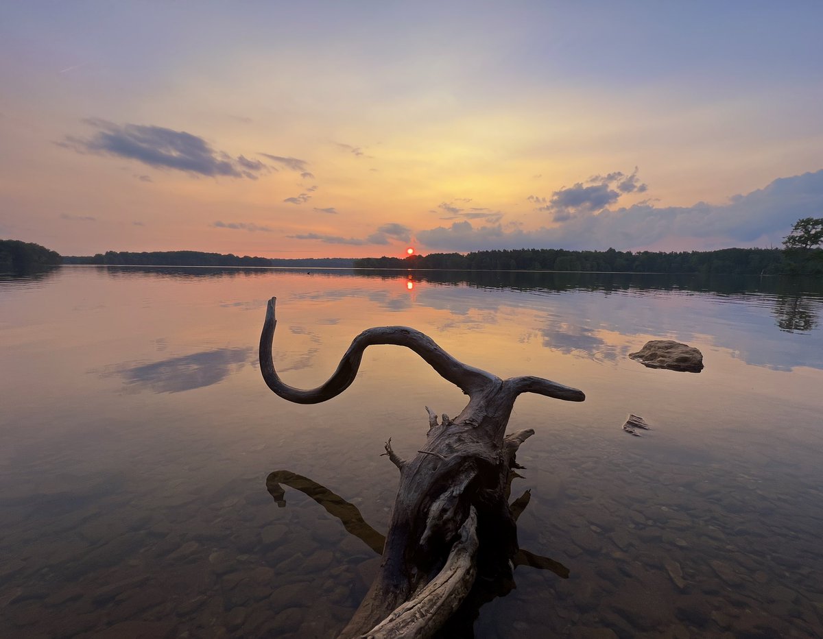 Aaron Burden tweet media