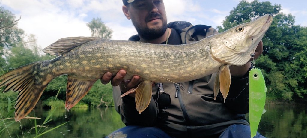 EUAngler's tweet photo. Another pike on kick start shad just this time pike destroyed the lure😭 #eualures #kickstartshad #pikefishinglures #pikefishinguk #pikefishing4life #pikefishing
https://t.co/7OV8PgqBmj https://t.co/ycob8sm9NN