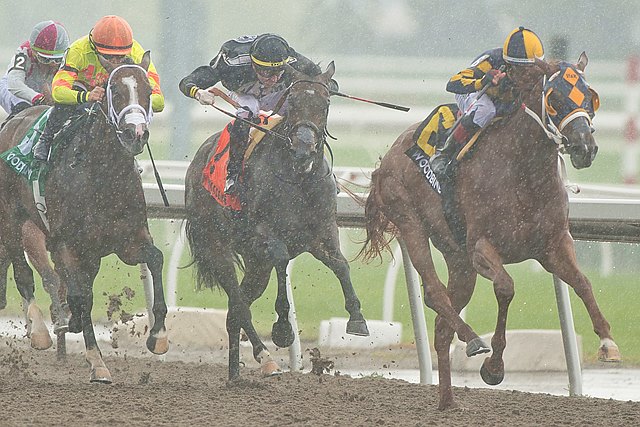 BloodHorse's tweet photo. Homebred Living Magic a Delight for Nothhaft https://t.co/M1UwSacOln @BH_CMcCroskey https://t.co/DJGvwxQcr8